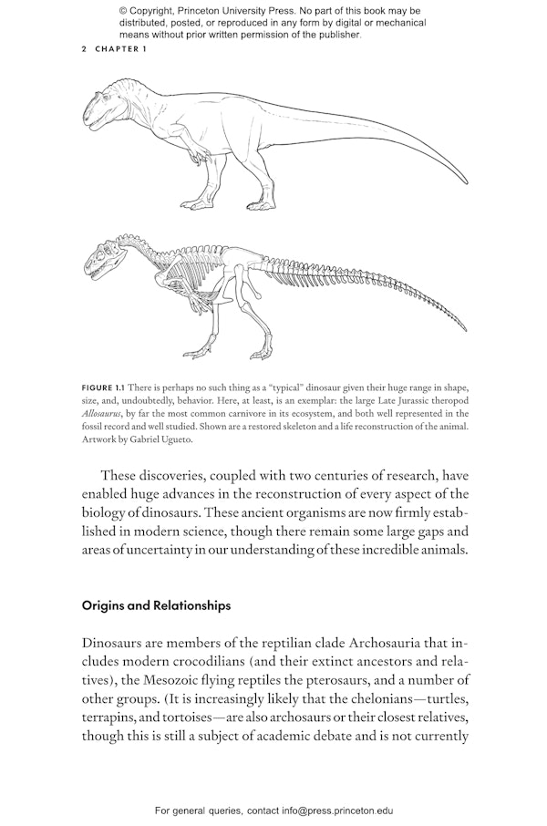 The Ultimate Dinosaur Discovery Herding Behavior Unearthed - 6s0ym9o
