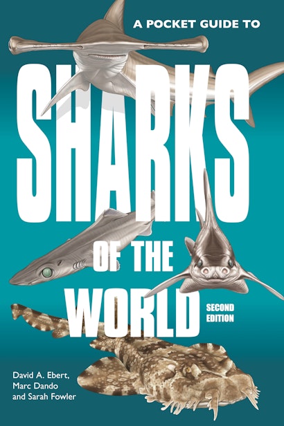 A Pocket Guide to Sharks of the World