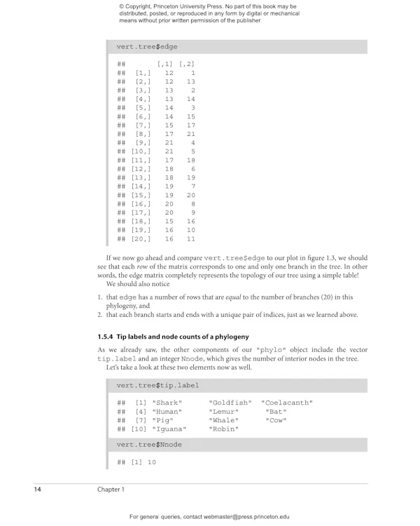 Phylogenetic Comparative Methods in R | Princeton University Press