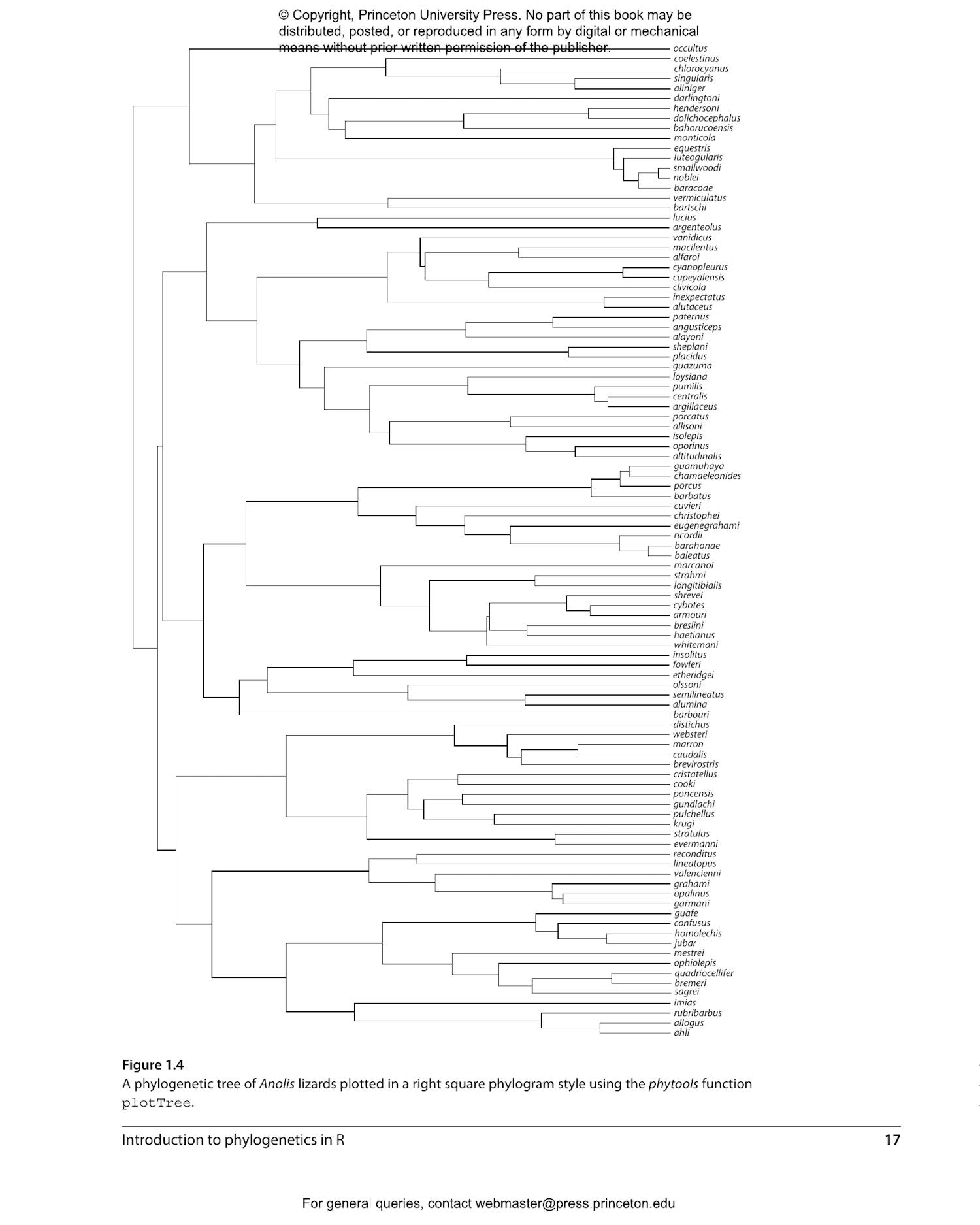 Comparative Methods in R Princeton University Press