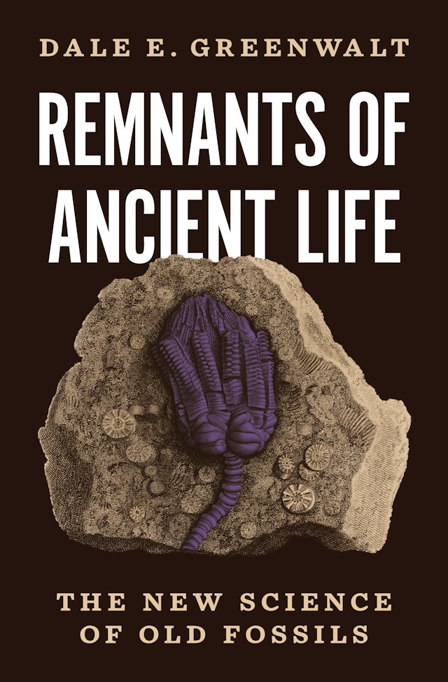 Remnants of Ancient Life