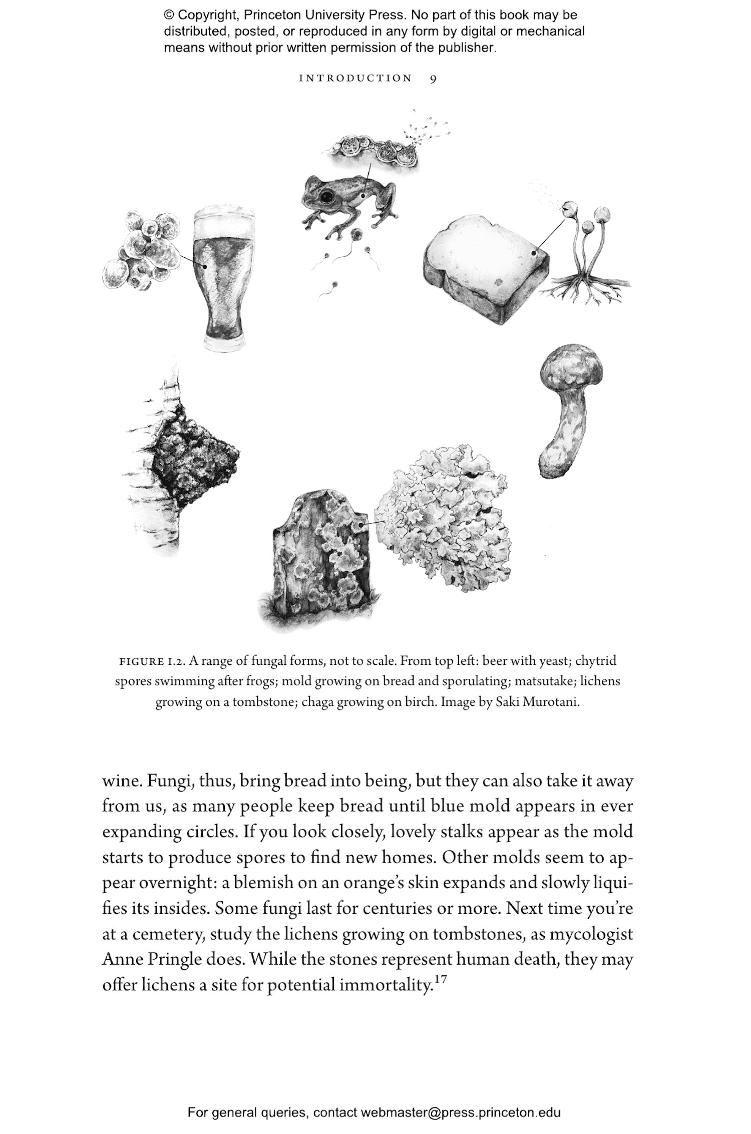 What a Mushroom Lives For | Princeton University Press