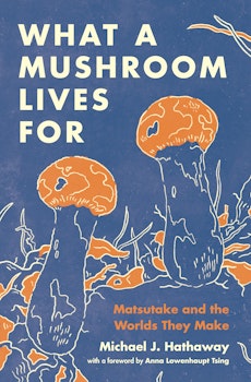 蘑菇的生活目的
