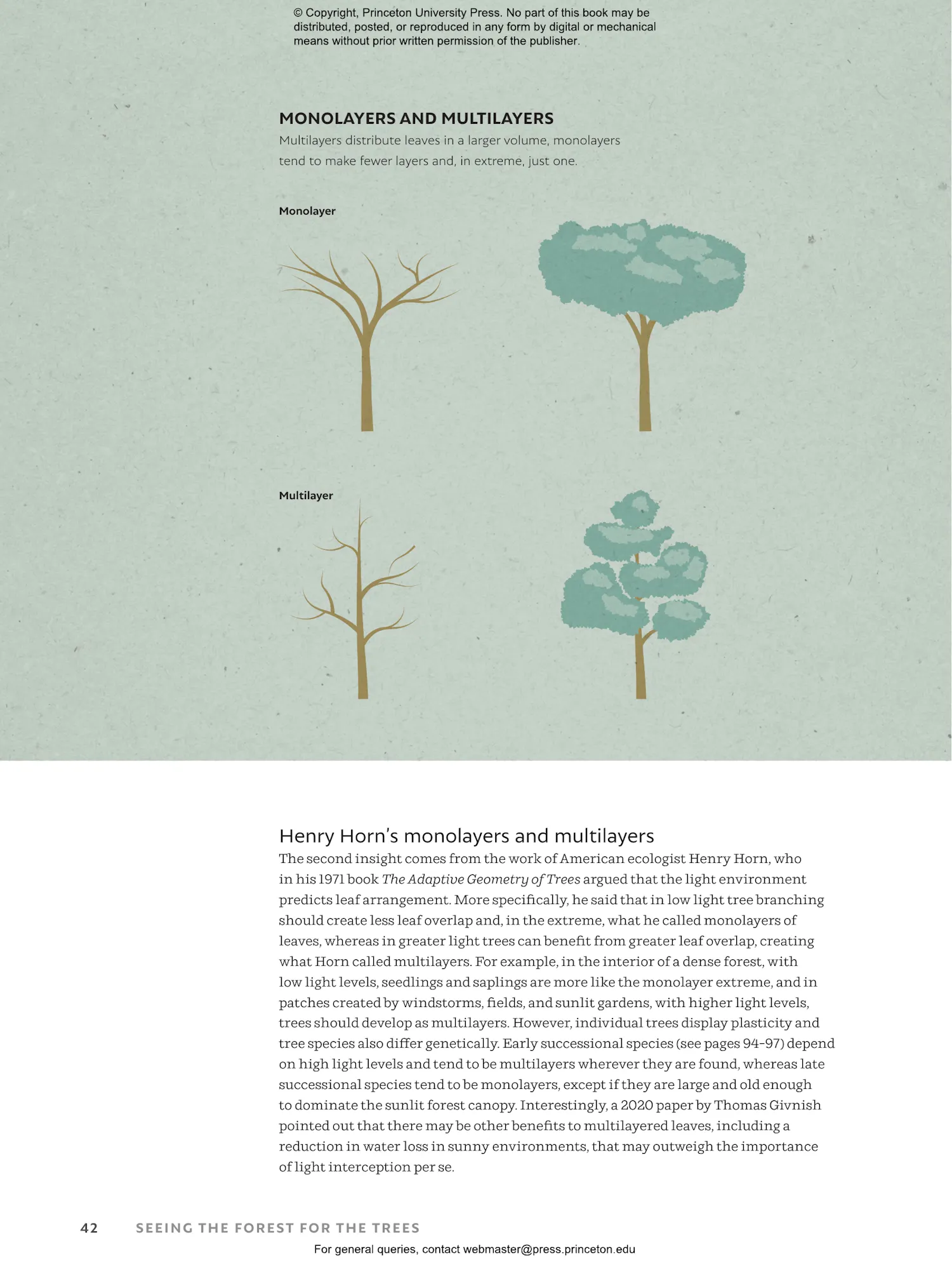 The World Atlas of Trees and Forests | Princeton University Press