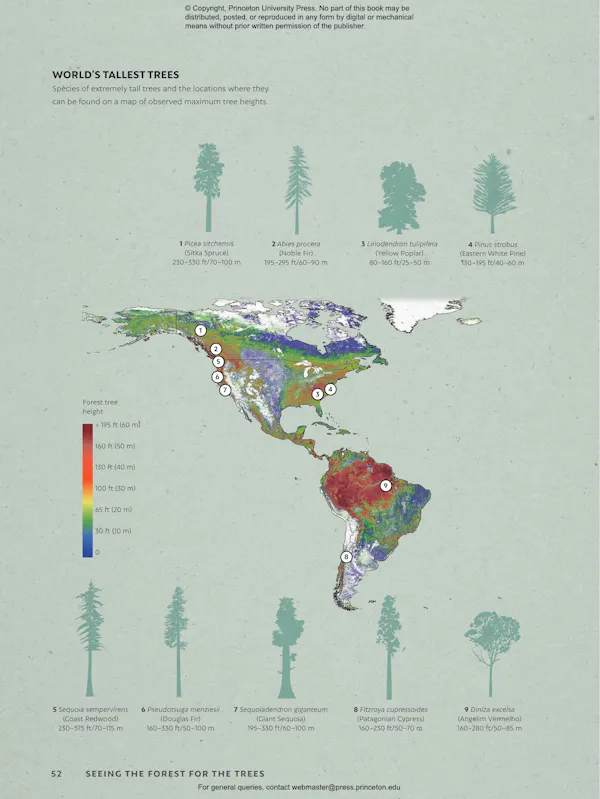 The World Atlas of Trees and Forests | Princeton University Press