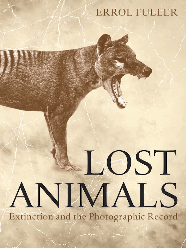 Lost Animals Princeton University Press