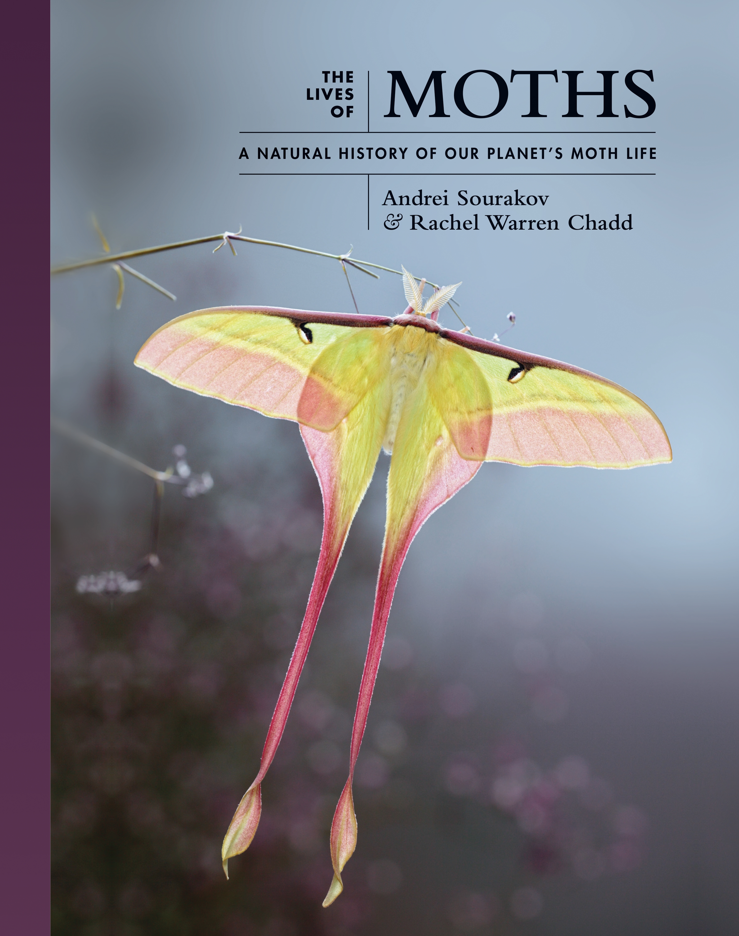 The Moths (2020) - IMDb