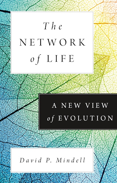 The Network of Life
