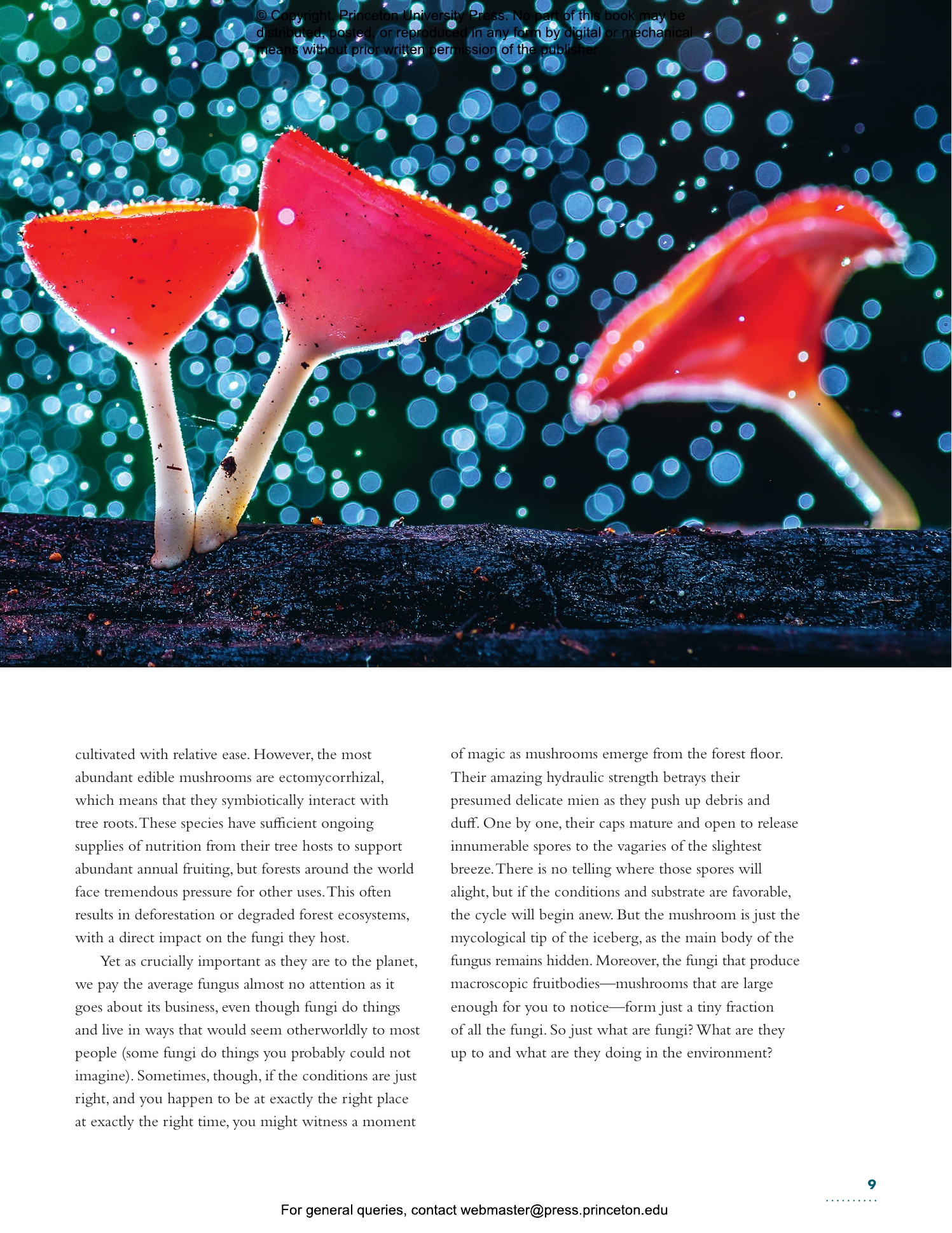 The Lives Of Fungi | Princeton University Press