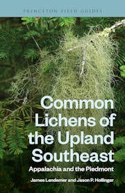 Common Lichens of the Upland Southeast