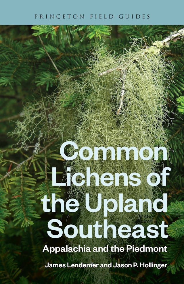 Common Lichens of the Upland Southeast