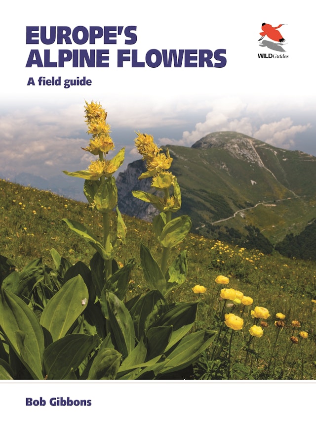 Europe's Alpine Flowers