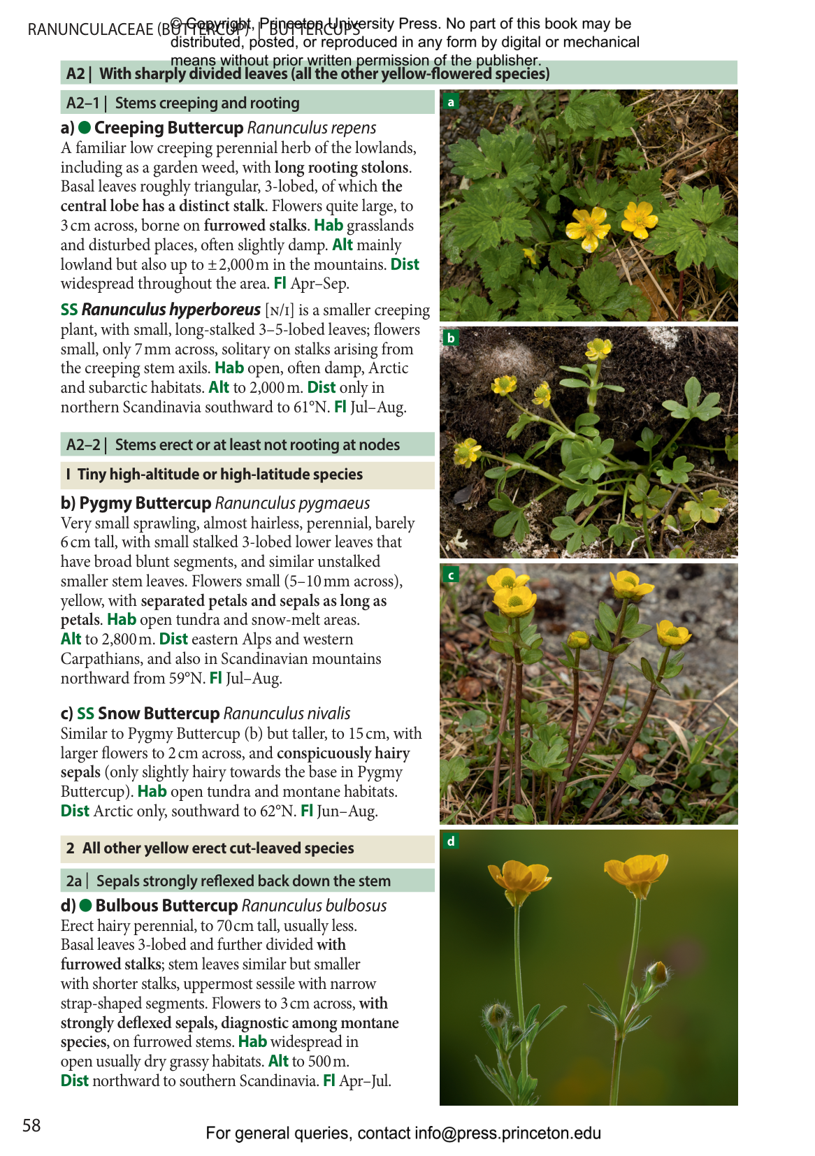 Europe's Alpine Flowers | Princeton University Press