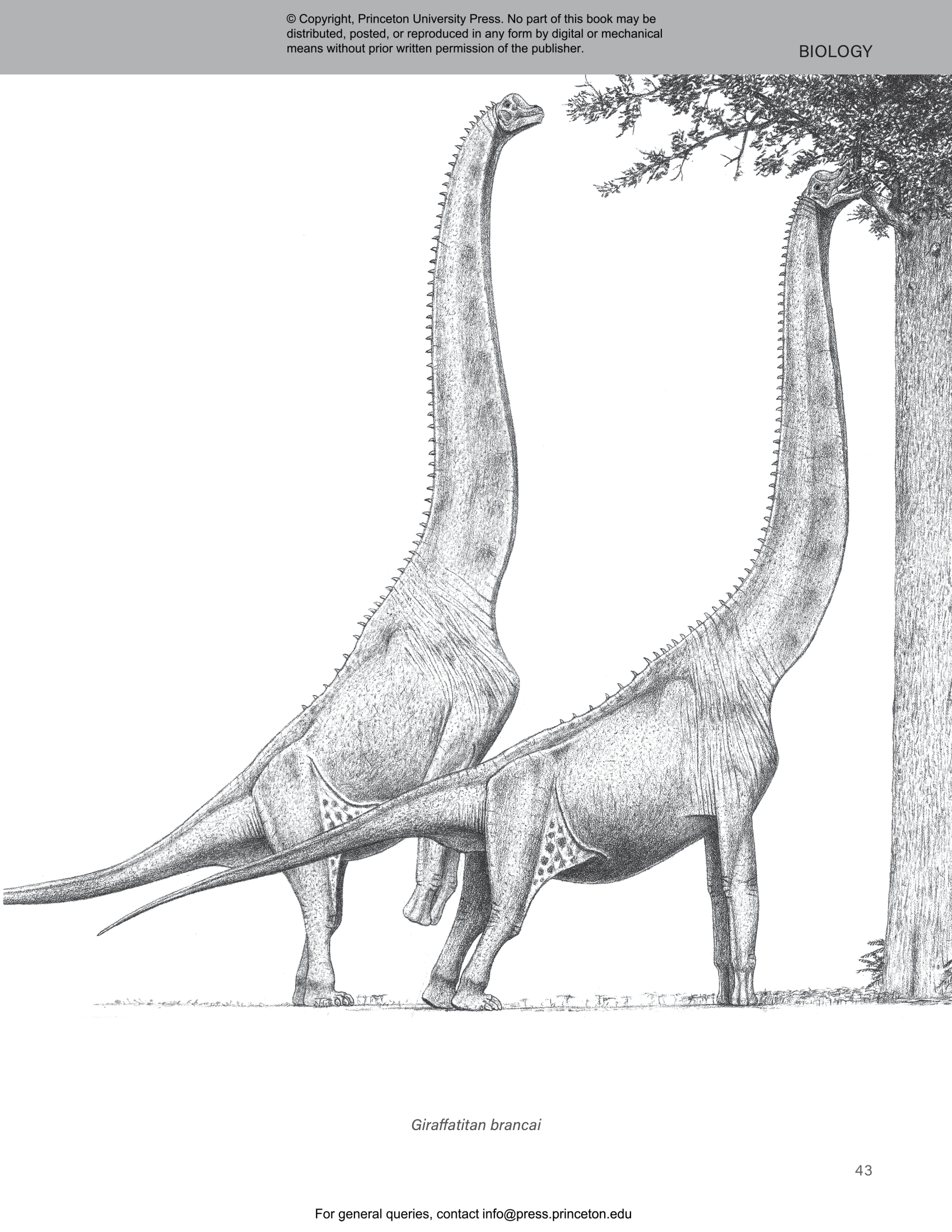 The Princeton Field Guide to Dinosaurs Third Edition