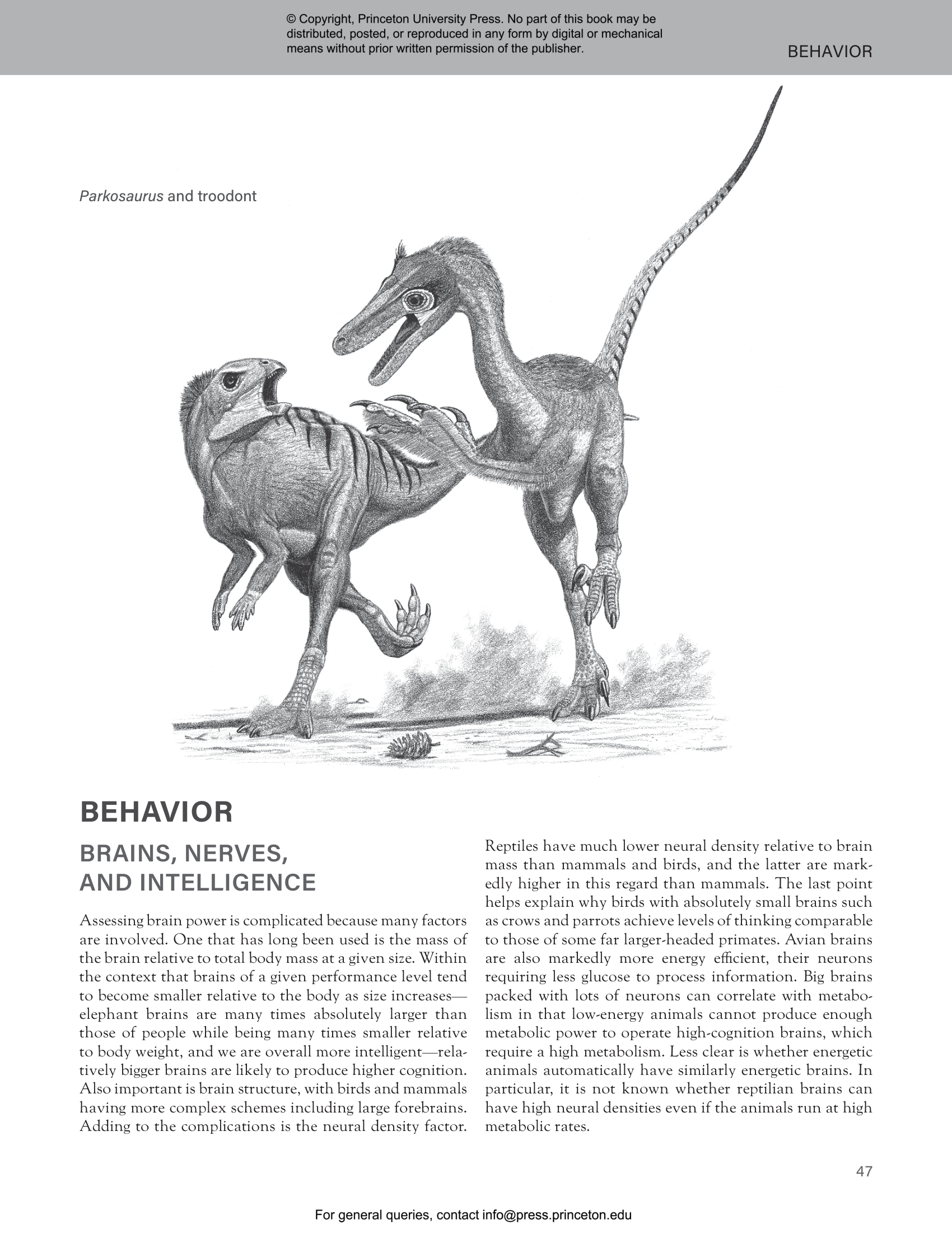 The Princeton Field Guide to Dinosaurs Third Edition