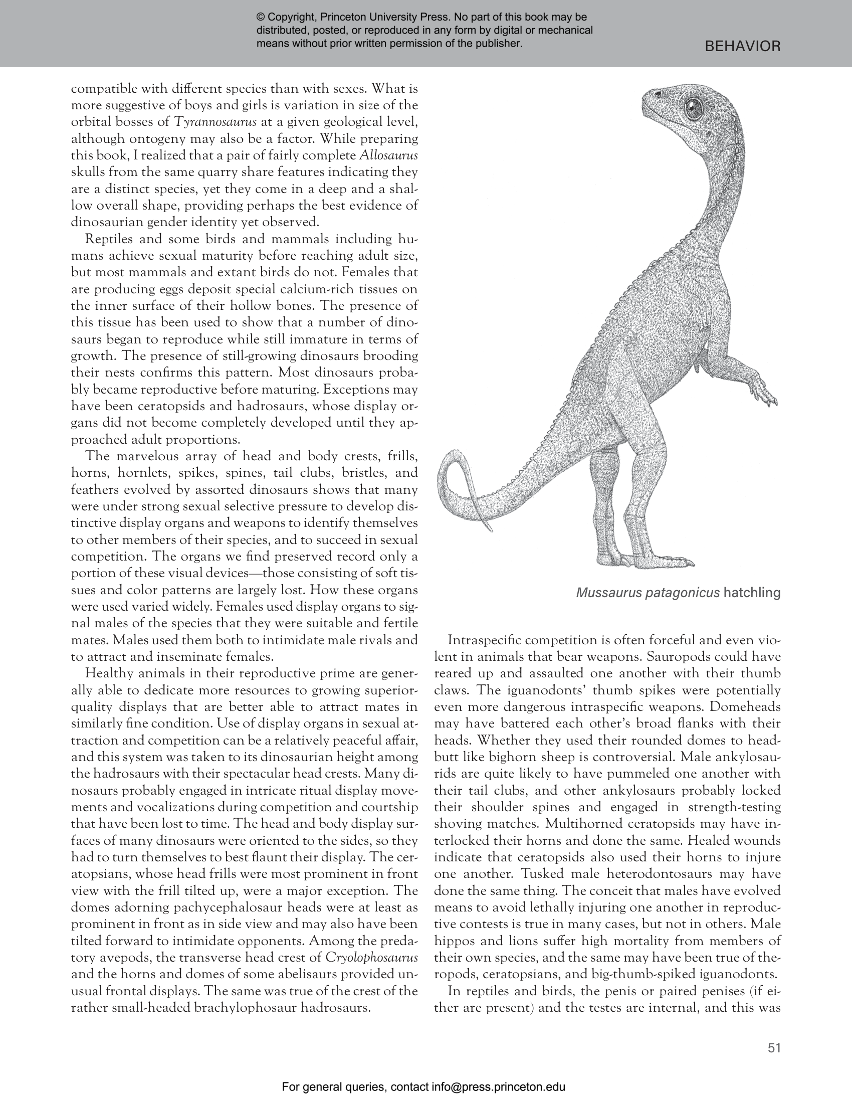 The Princeton Field Guide to Dinosaurs Third Edition | Princeton 