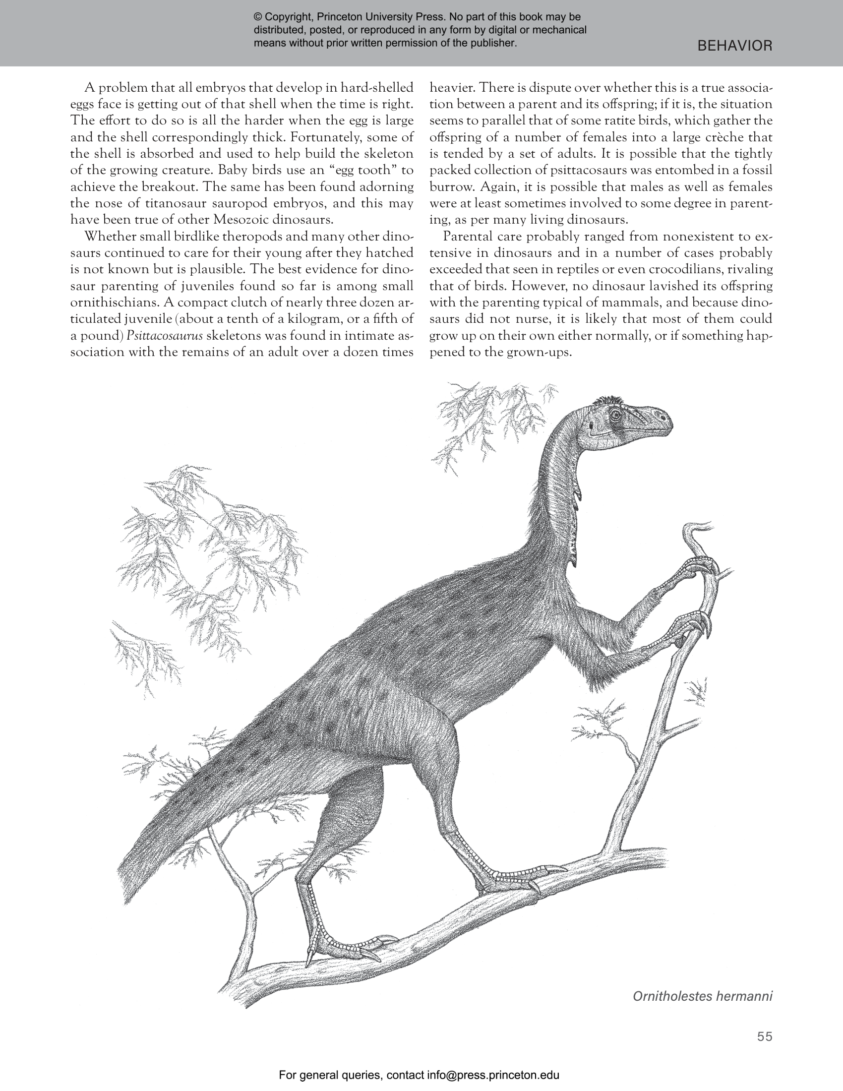 The Princeton Field Guide to Dinosaurs Third Edition