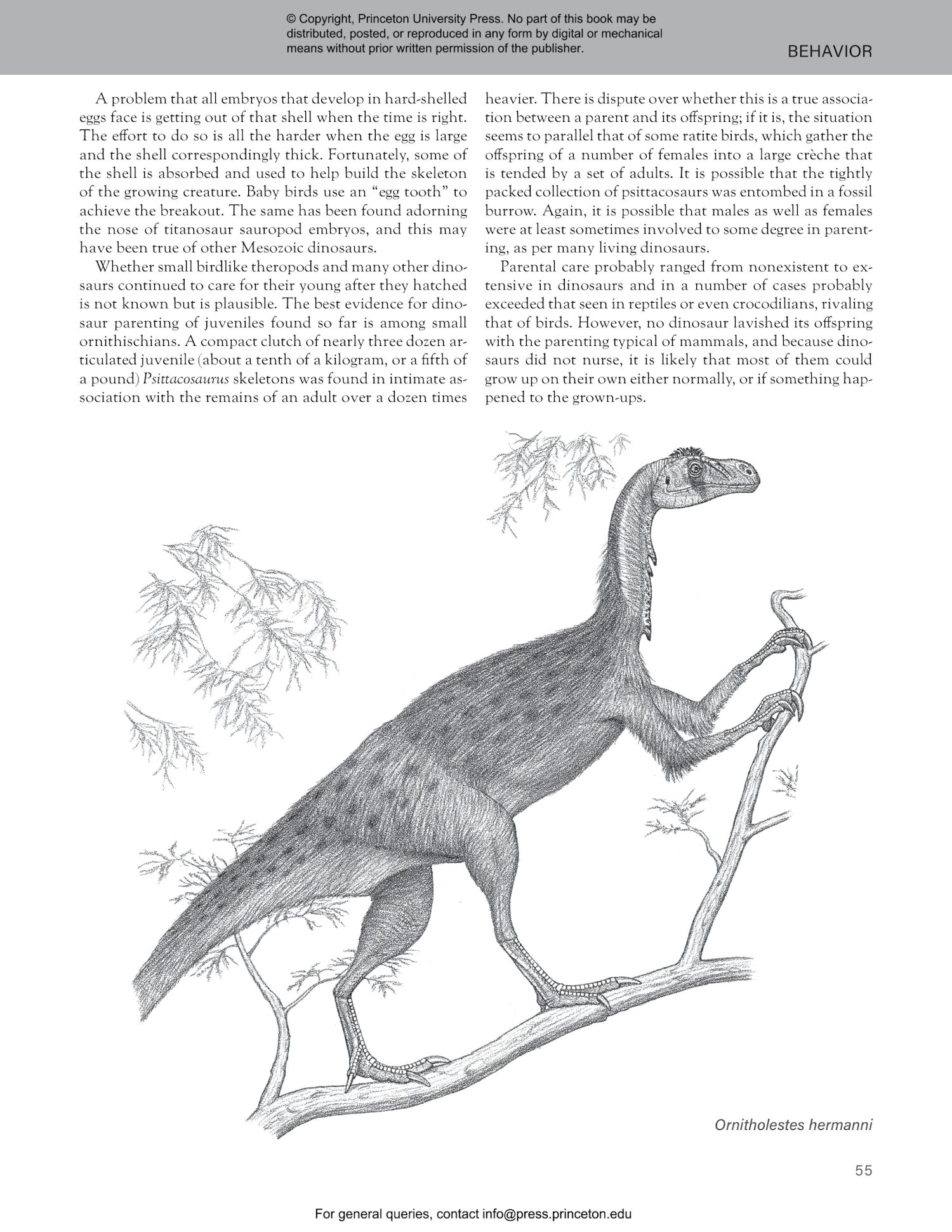 The Princeton Field Guide to Dinosaurs Third Edition | Princeton ...