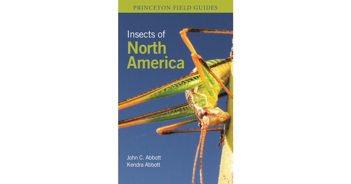 Insects of North America Princeton University Press