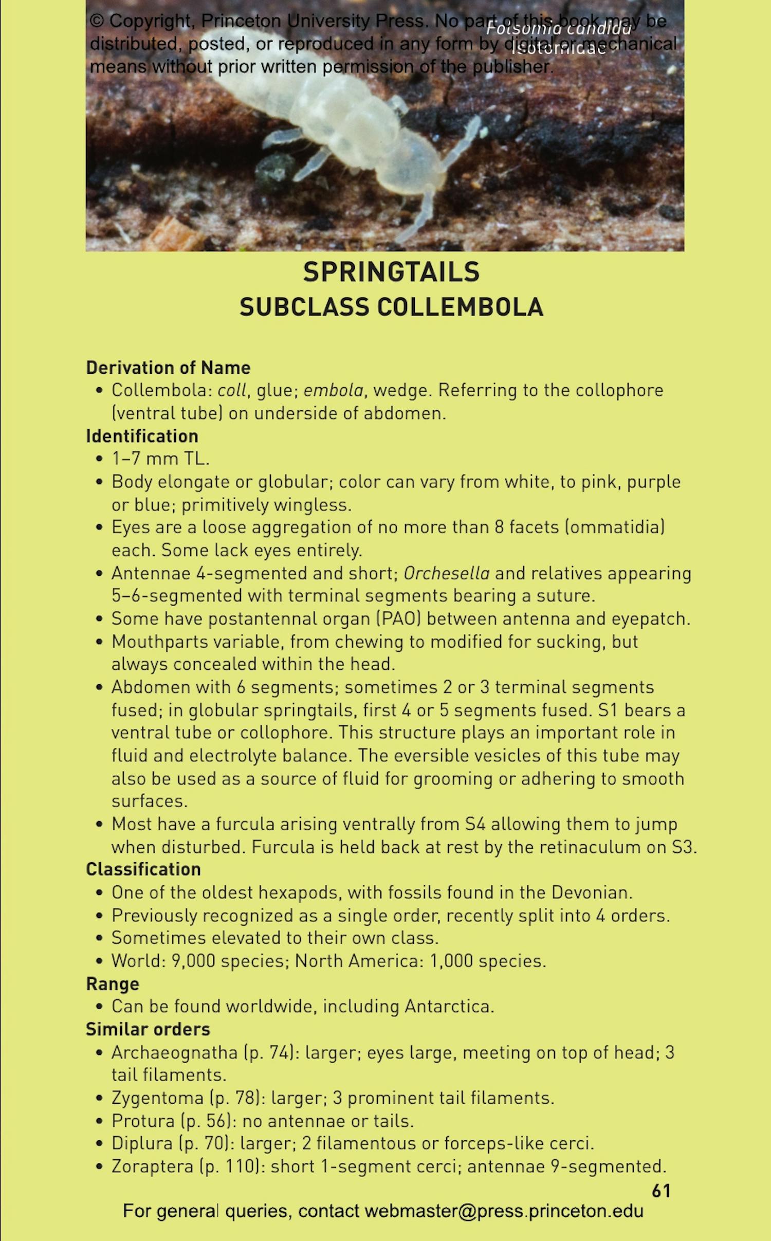 Insects of North America Princeton University Press