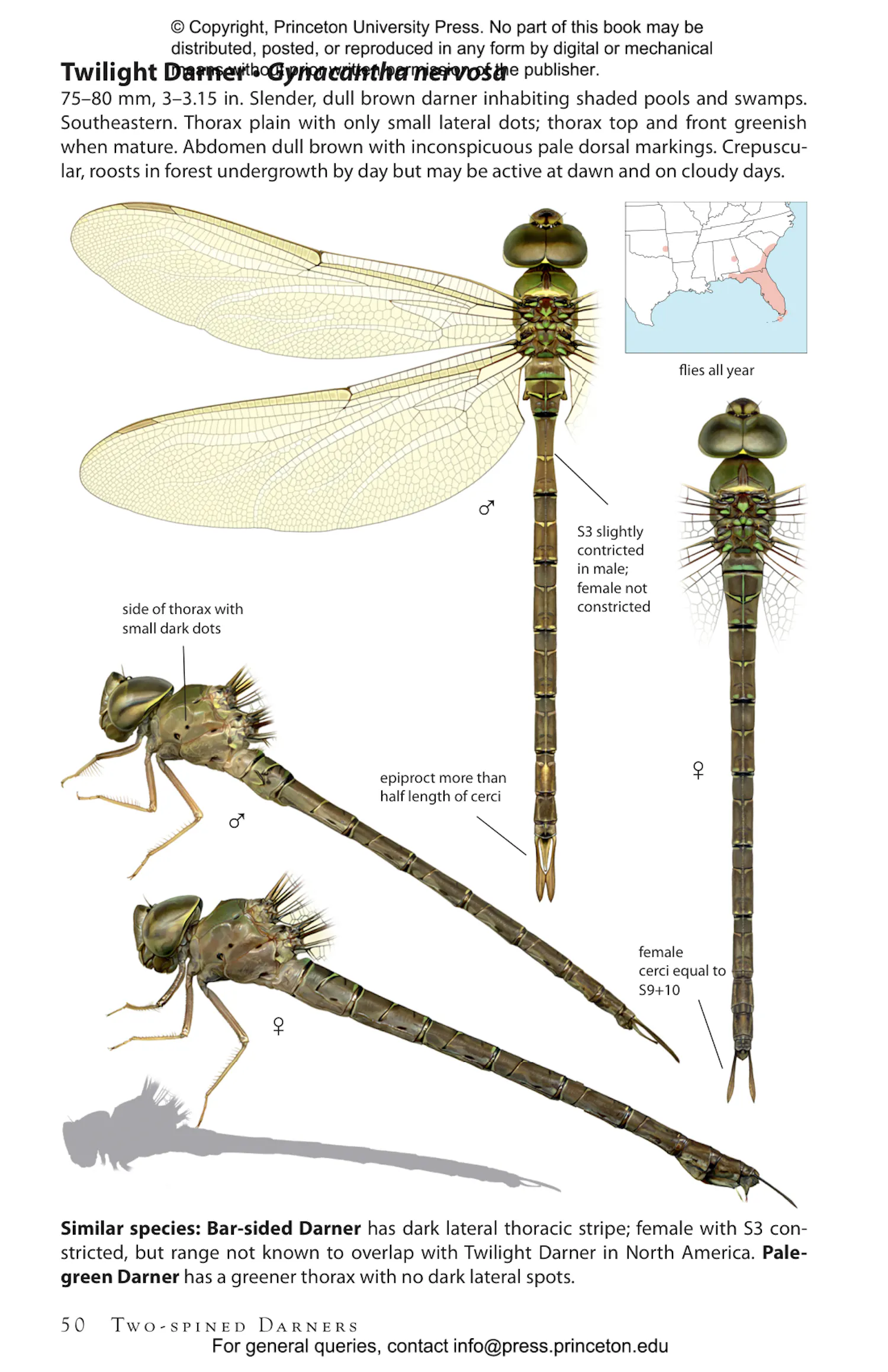 Dragonflies of North America | Princeton University Press