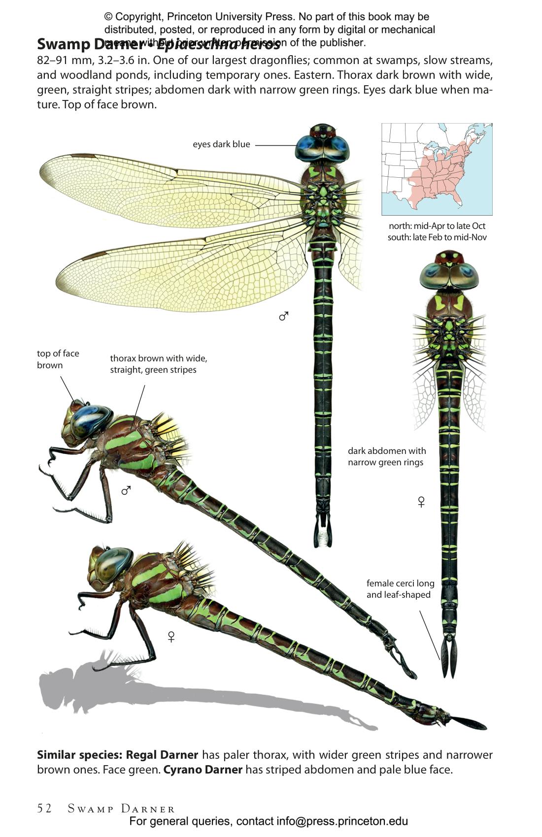 Dragonflies of North America | Princeton University Press
