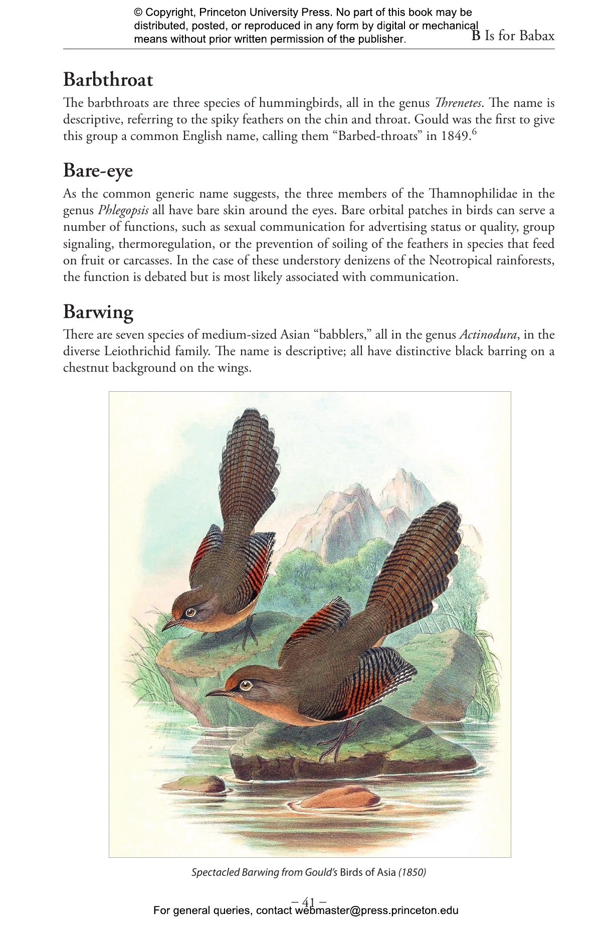 The Bird Name Book | Princeton University Press