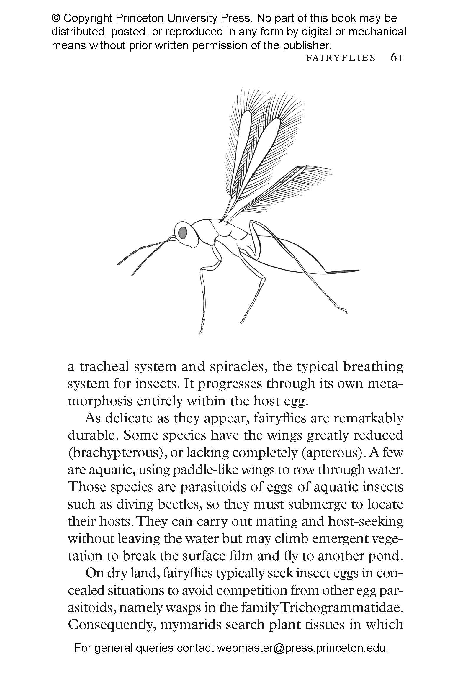 Insectpedia | Princeton University Press