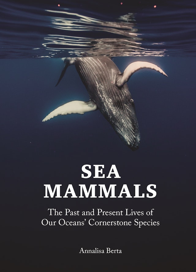 Sea Mammals