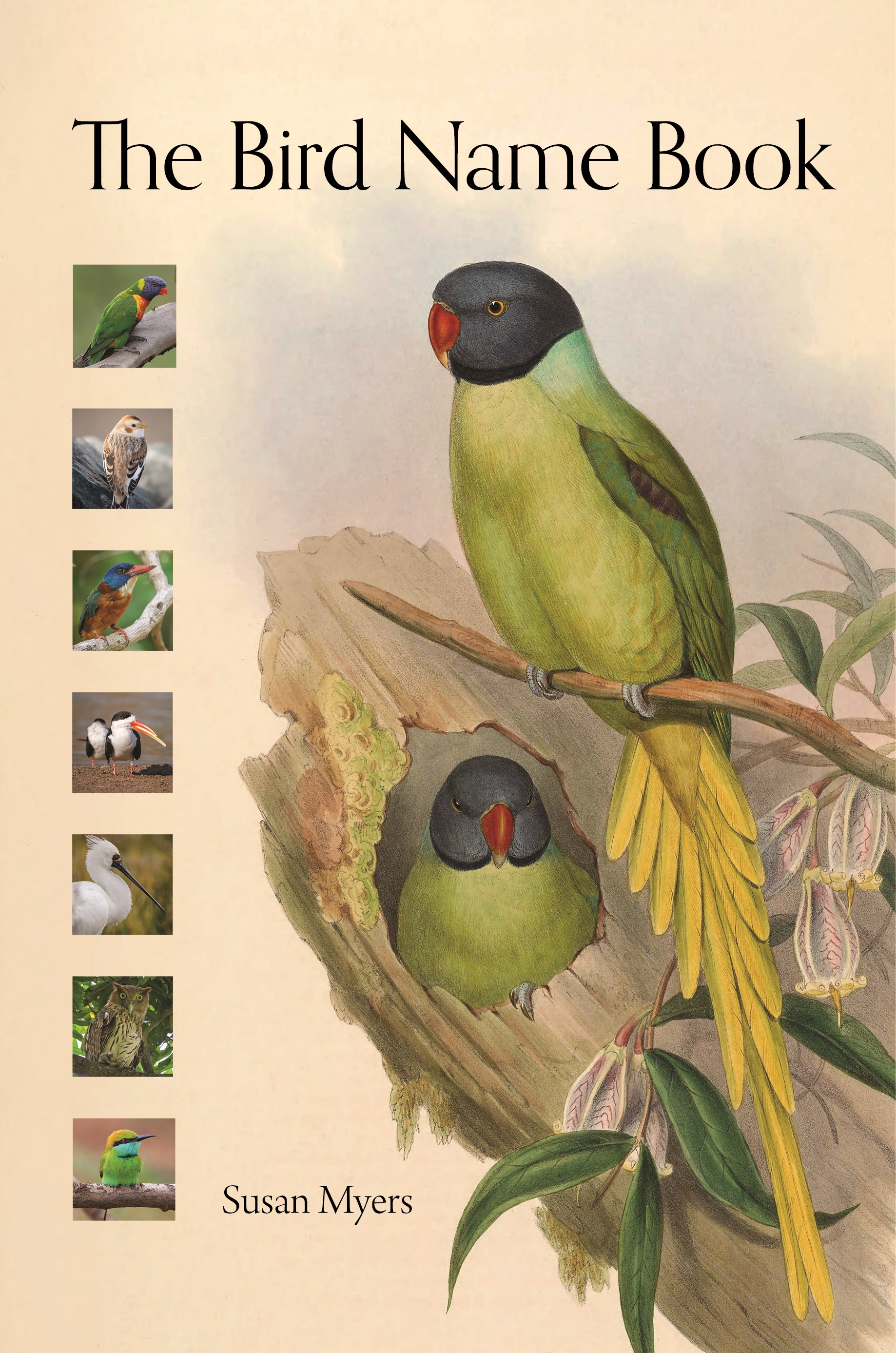 The Bird Name Book | Princeton University Press