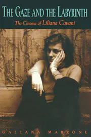 The Gaze and the Labyrinth