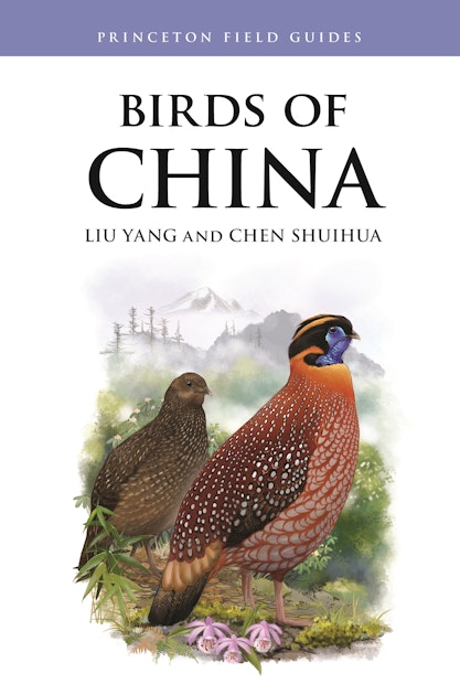 chinese birds