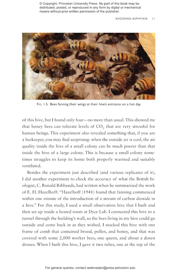 Piping Hot Bees and Boisterous Buzz-Runners | Princeton University Press