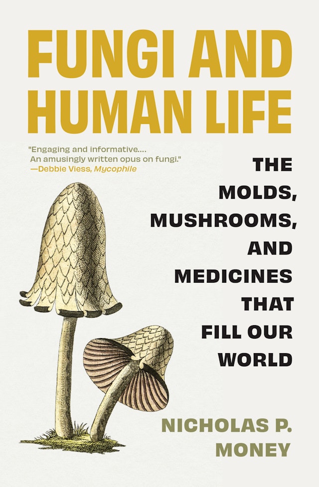 Fungi and Human Life