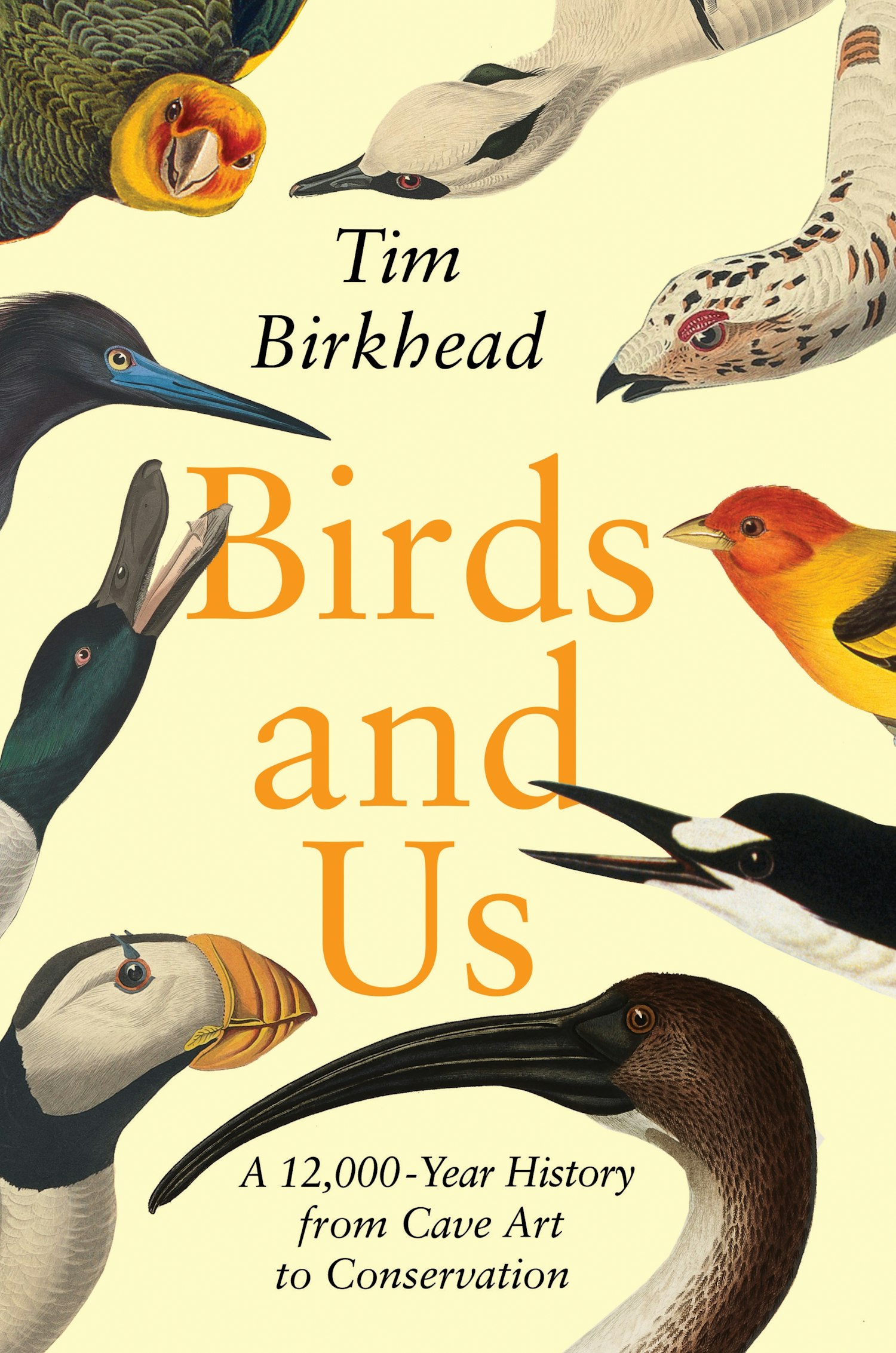 Cover of Birds and Us