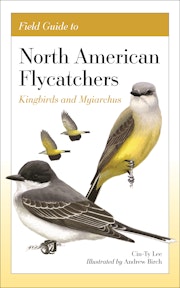 Field Guide to North American Flycatchers