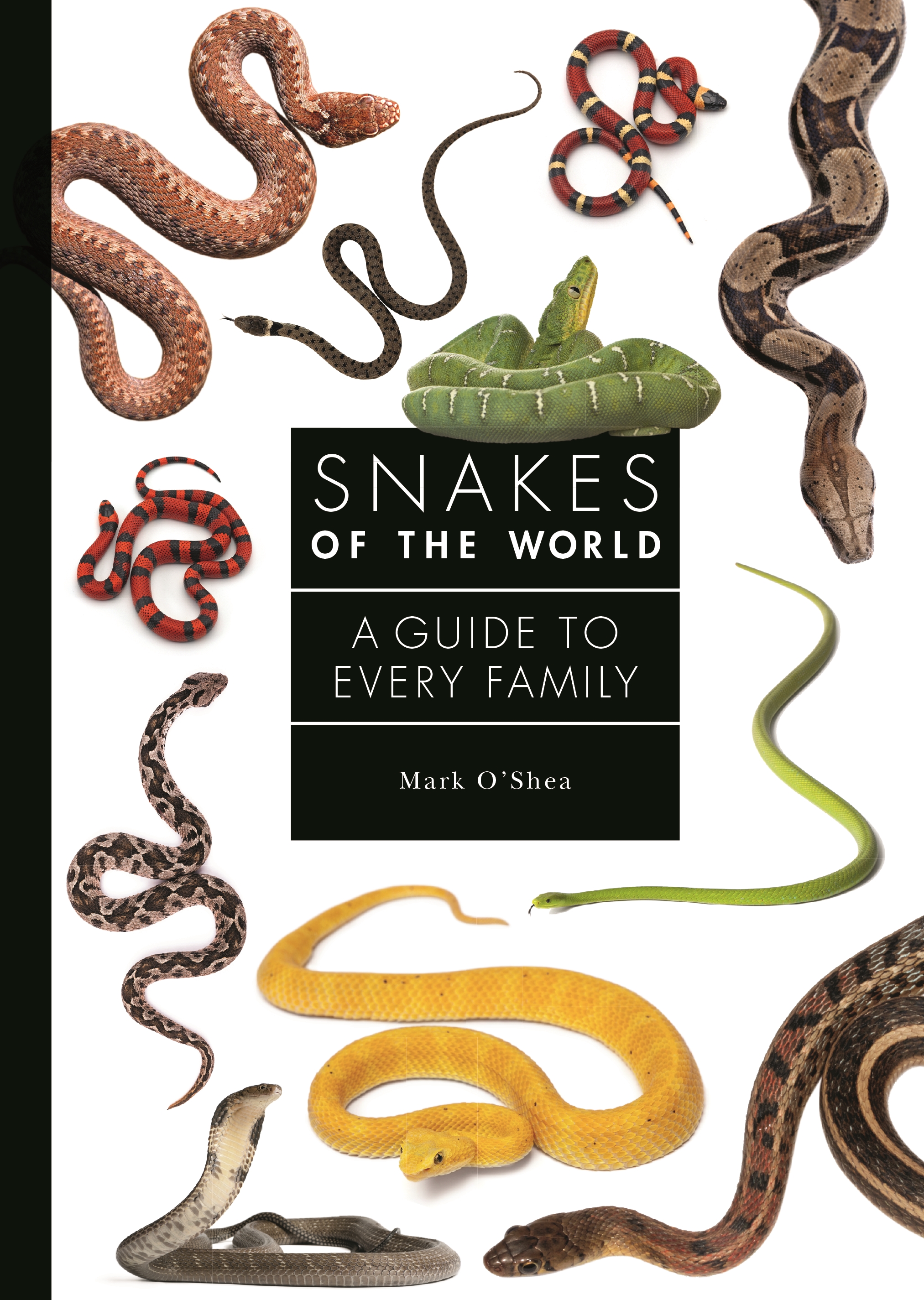 Snakes of the World | Princeton University Press