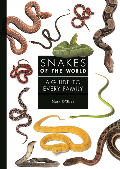 The Reptiles: Snakes, Saving Snakes, Nature