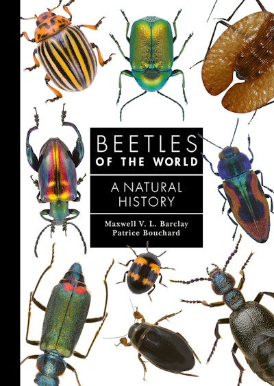 beetles-of-the-world-princeton-university-press