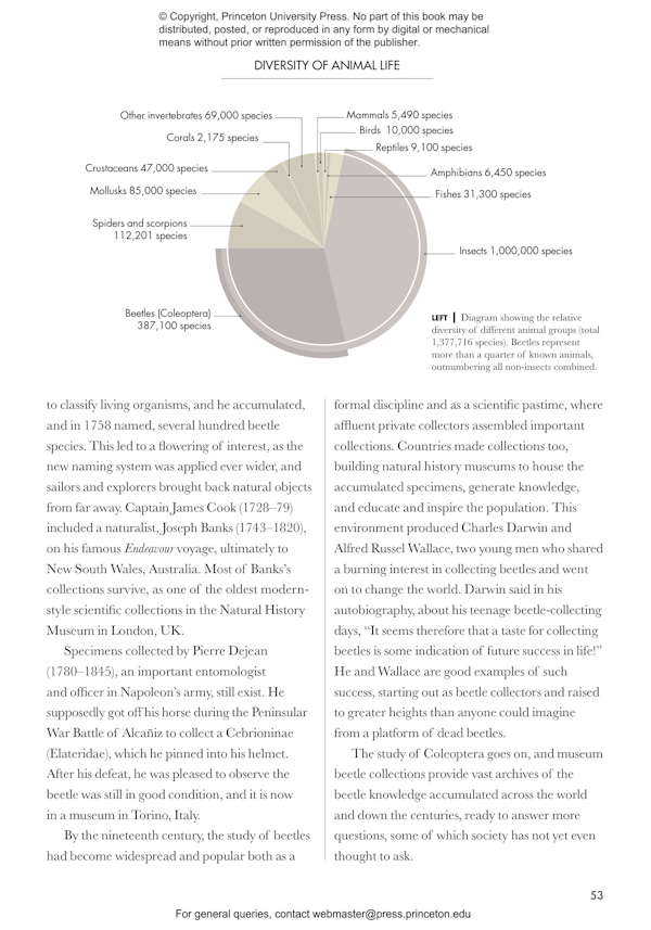 beetles-of-the-world-princeton-university-press