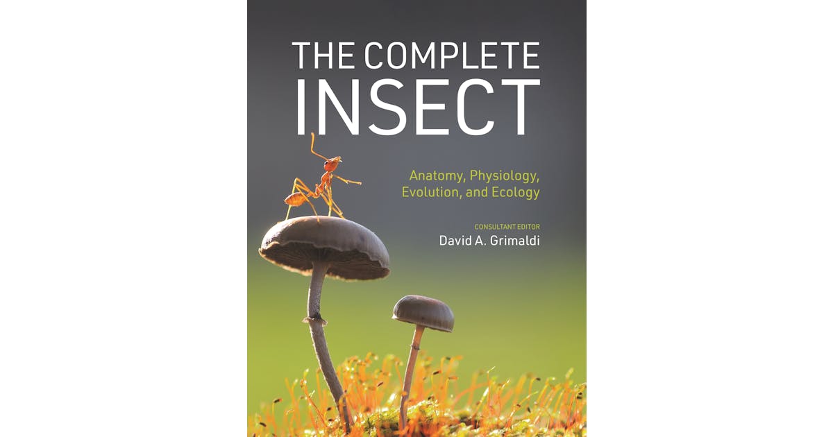 The Complete Insect | Princeton University Press