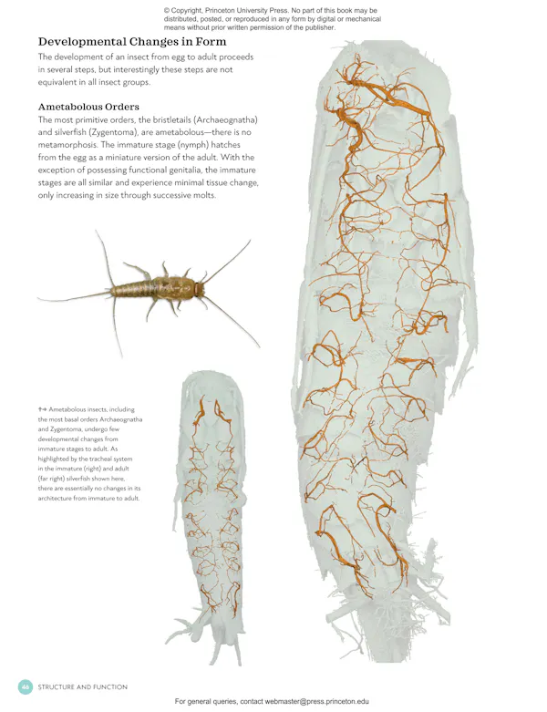 The Complete Insect | Princeton University Press