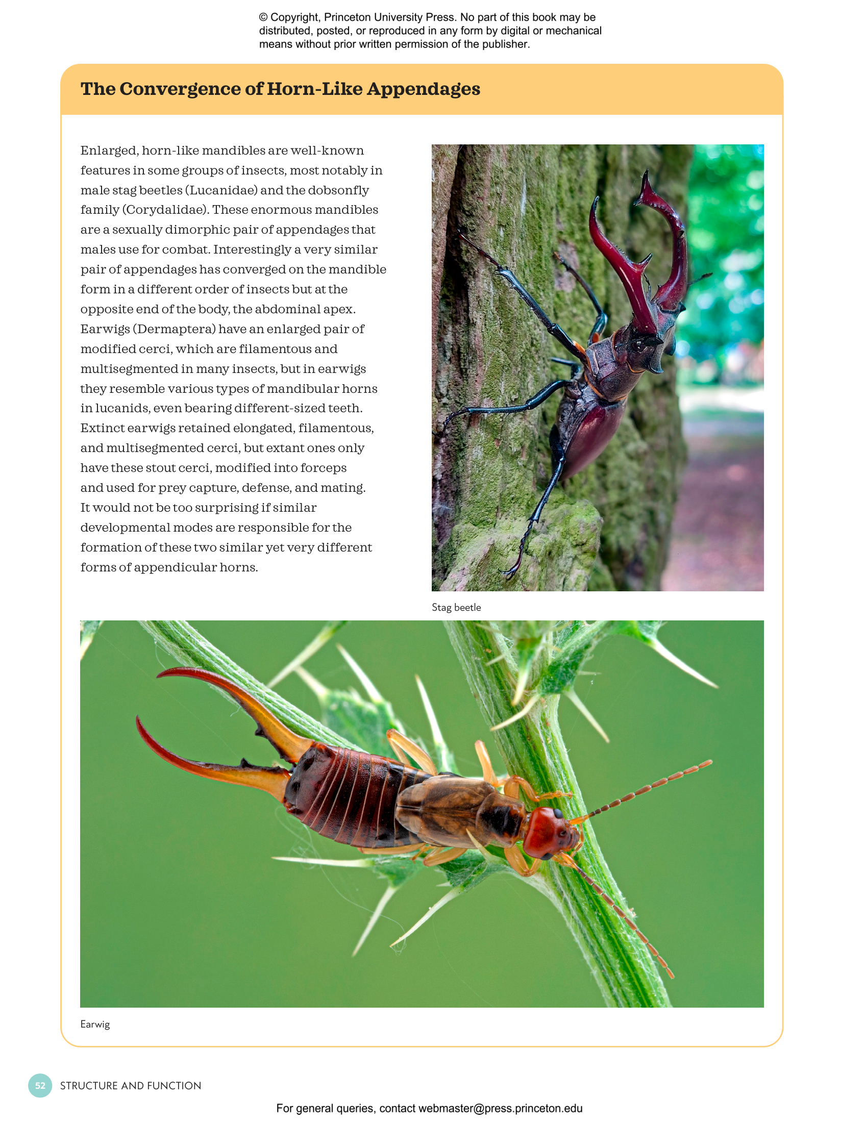 The Complete Insect | Princeton University Press The Complete Insect | Princeton University Press