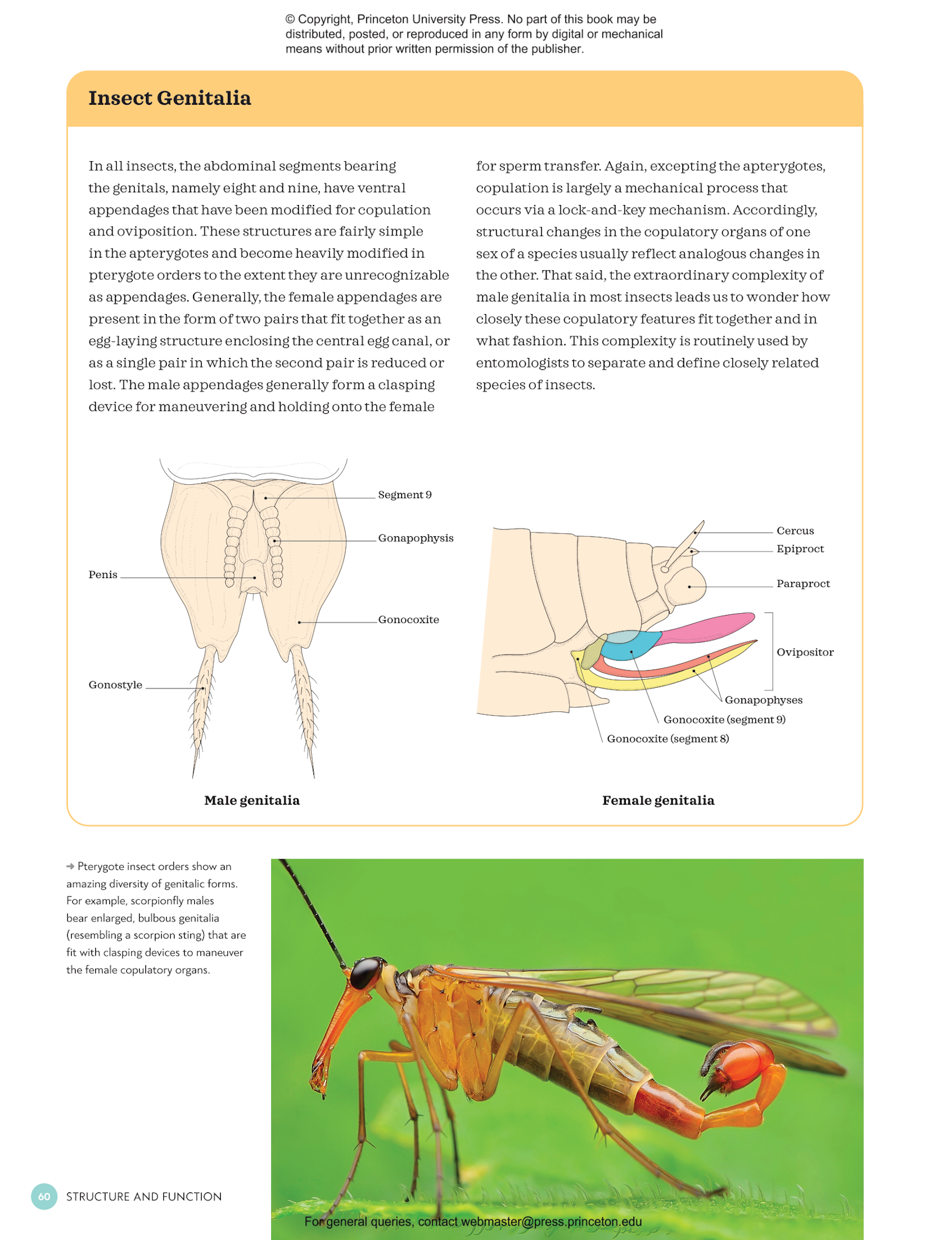 complete insect list acnh