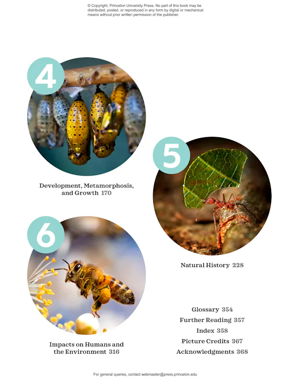 The Complete Insect | Princeton University Press