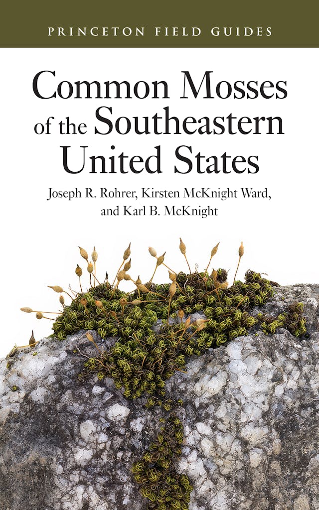 Common Mosses of the Southeastern United States