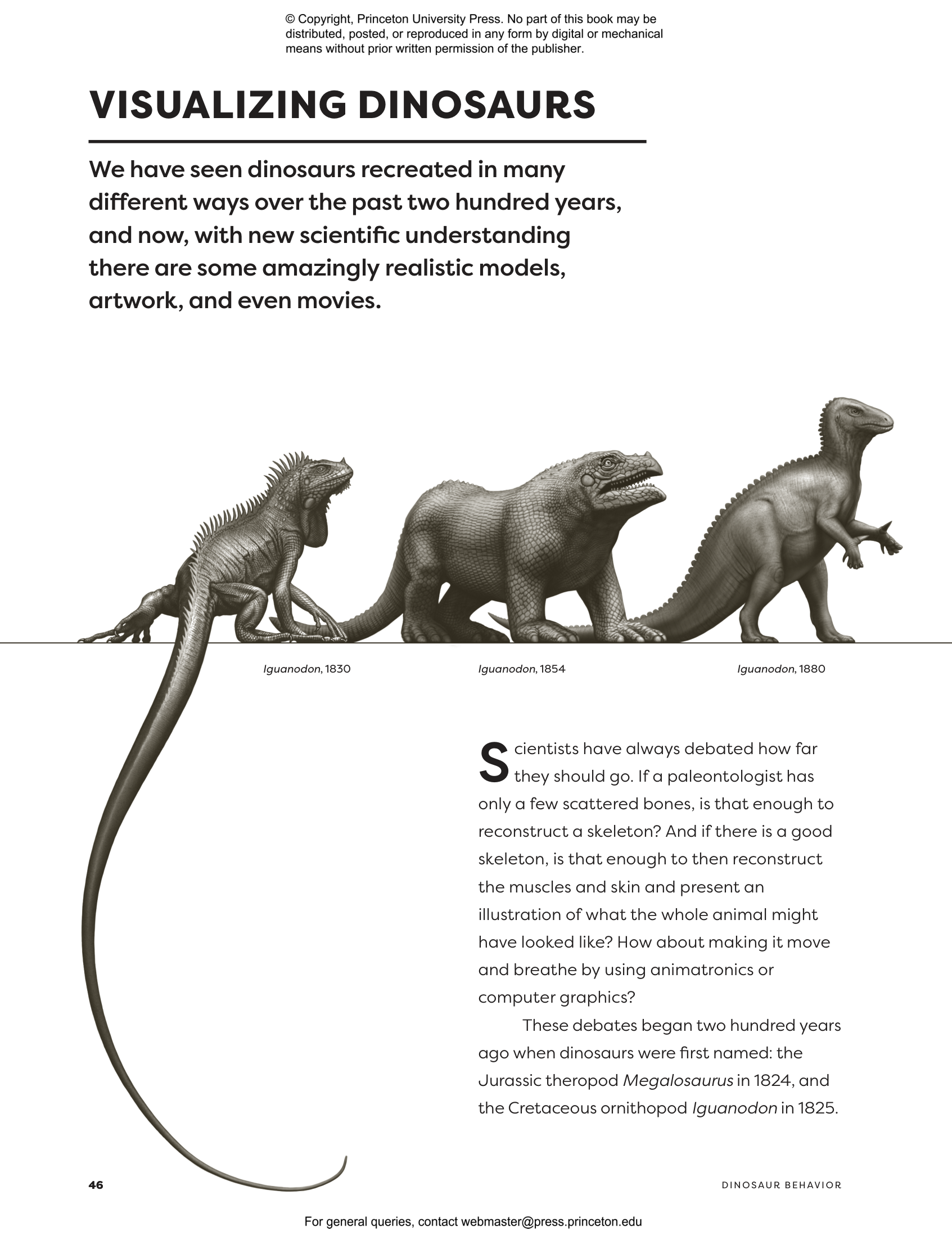 Dinosaur Behavior | Princeton University Press