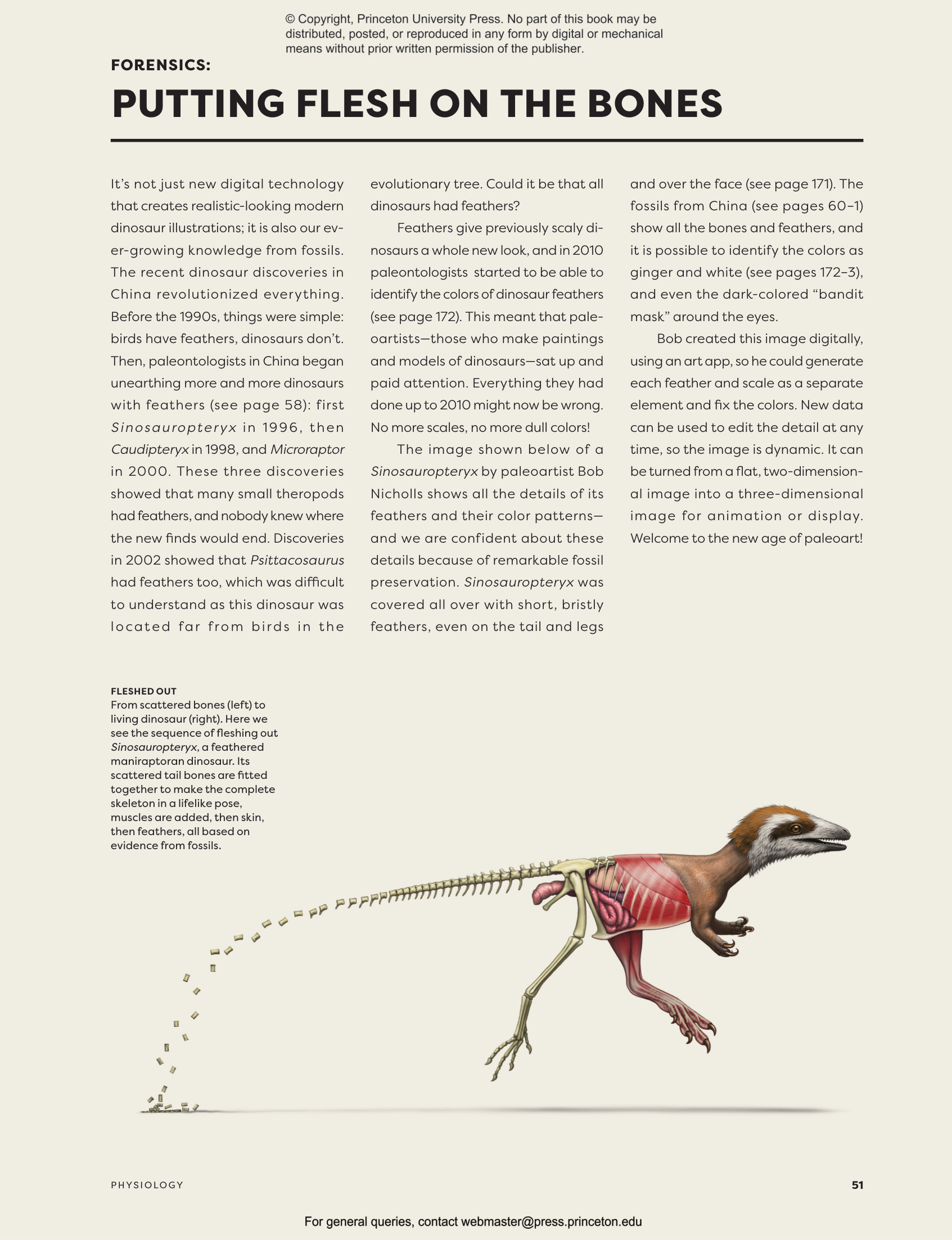 Dinosaur Behavior | Princeton University Press