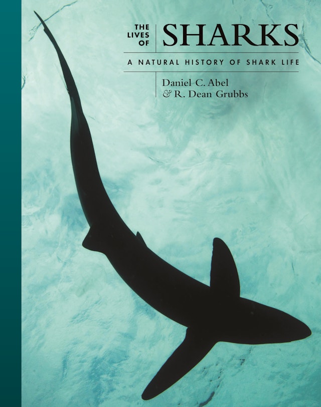 The Lives of Sharks