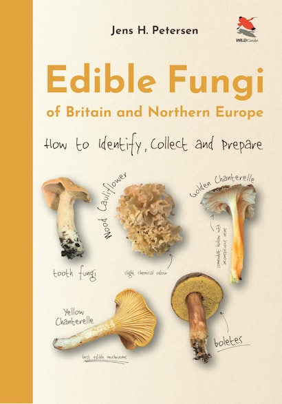 Naturalist has new ideas about fungi